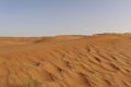 Patterns in the Desert Dunes of Wahiba Sands in Oman Royalty Free Stock Photo