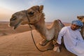 Wahiba Sands,Oman - 04.07.2018: A man in white robe and his camel sit on the desert sand. Early morning in Wahiba Sands Royalty Free Stock Photo