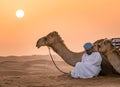 Wahiba Sands,Oman - 04.07.2018: A man in white robe and his camel sit on the desert sand. Early morning in Wahiba Sands Royalty Free Stock Photo