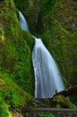 Wahkeena Falls along I84