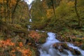 Wahkeena Falls in Autumn