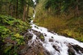 Wahkeena Falls at Columbia river Gorge , oregon