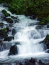 Wahkeena Falls I