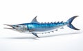 Wahoo fish isolated on transparent background. Royalty Free Stock Photo