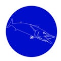 A wahoo fish silhouette Royalty Free Stock Photo