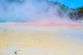 Wai-O-Tapu is an active geothermal area, Rotorua, New Zealand.