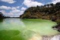 Wai-o-Tapu geothermal area