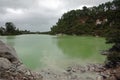 Wai-O-Tapu Lake Ngakoro in Rotorua, New Zealand Royalty Free Stock Photo