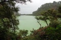 Wai-O-Tapu Lake Ngakoro in Rotorua, New Zealand Royalty Free Stock Photo