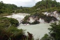 Wai-O-Tapu Lake Ngakoro in Rotorua, New Zealand Royalty Free Stock Photo