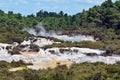 Wai-O-Tapu, Rotorua, New Zealand Royalty Free Stock Photo