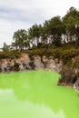 Wai-o-tapu Thermal park. Small bright green lake. North island. New Zealand