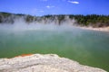 Wai-O-Tapu Thermal Wonderland inNew Zealand.