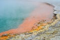 Wai-O-Tapu Thermal Wonderland New Zealand