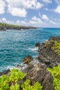 Waianapanapa Royalty Free Stock Photo