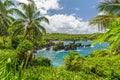 Waianapanapa Royalty Free Stock Photo