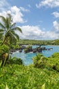 Waianapanapa Royalty Free Stock Photo