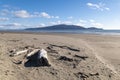 Waikanae Beach with driftwood in the foreground and Kapiti Island