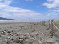 Waikanae Beach Near Wellington New Zealand