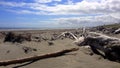 Waikanae Beach, New Zealand Royalty Free Stock Photo