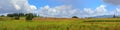 Waikato landscape fields panoramic view