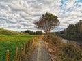 Waikato bicycle trail near lake Karapiro in New Zealand