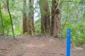 Waikato River Trail at Arapuni