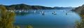 Waikawa Bay Early Morning Panorama, Marlborough Sound, New Zealand Royalty Free Stock Photo