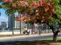 Waikiki beach