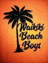 The Waikiki Beach Boys Logo