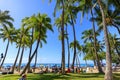 Waikiki beach lined with palm coconut trees in Honolulu, Hawaii Royalty Free Stock Photo
