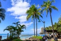 Waikiki beach lined with palm coconut trees in Honolulu Royalty Free Stock Photo