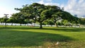 Waikiki beach park Oahu island hawaii Royalty Free Stock Photo