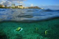 Waikiki, Oahu, Hawaii Royalty Free Stock Photo