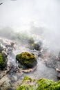 Waikite hot stream and terraces, volcanic valley Royalty Free Stock Photo