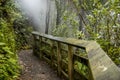 Waikite hot stream and terraces, volcanic valley Royalty Free Stock Photo