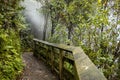 Waikite hot stream and terraces, volcanic valley Royalty Free Stock Photo