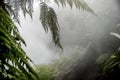 Waikite hot stream and terraces, volcanic valley Royalty Free Stock Photo