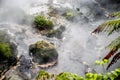 Waikite hot stream and terraces, volcanic valley Royalty Free Stock Photo