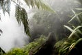 Waikite hot stream and terraces, volcanic valley Royalty Free Stock Photo