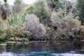 Waikoropupu Springs, New Zealand