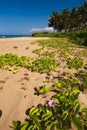 Wailea beach Royalty Free Stock Photo