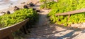 The Wailea Beach Path Leading to Ulua Beach