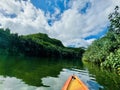 Wailua Waterway Glide: Kayaking Amidst Reflective Greenery