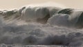 Waimea bay monster winter storm surf Royalty Free Stock Photo