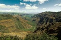 Waimea canyon Royalty Free Stock Photo