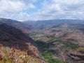 Waimea canyon Royalty Free Stock Photo