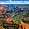 Waimea Canyon Royalty Free Stock Photo