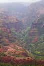 Waimea Canyon Royalty Free Stock Photo