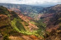 Waimea Canyon in Kauai Hawaii